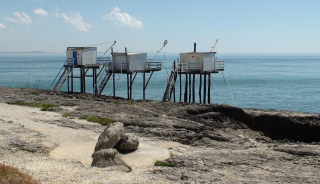 CHARENTE-MARITIME - 10MN DE LA PLAGE