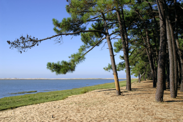 Photo Camping - Nouvelle-Aquitaine